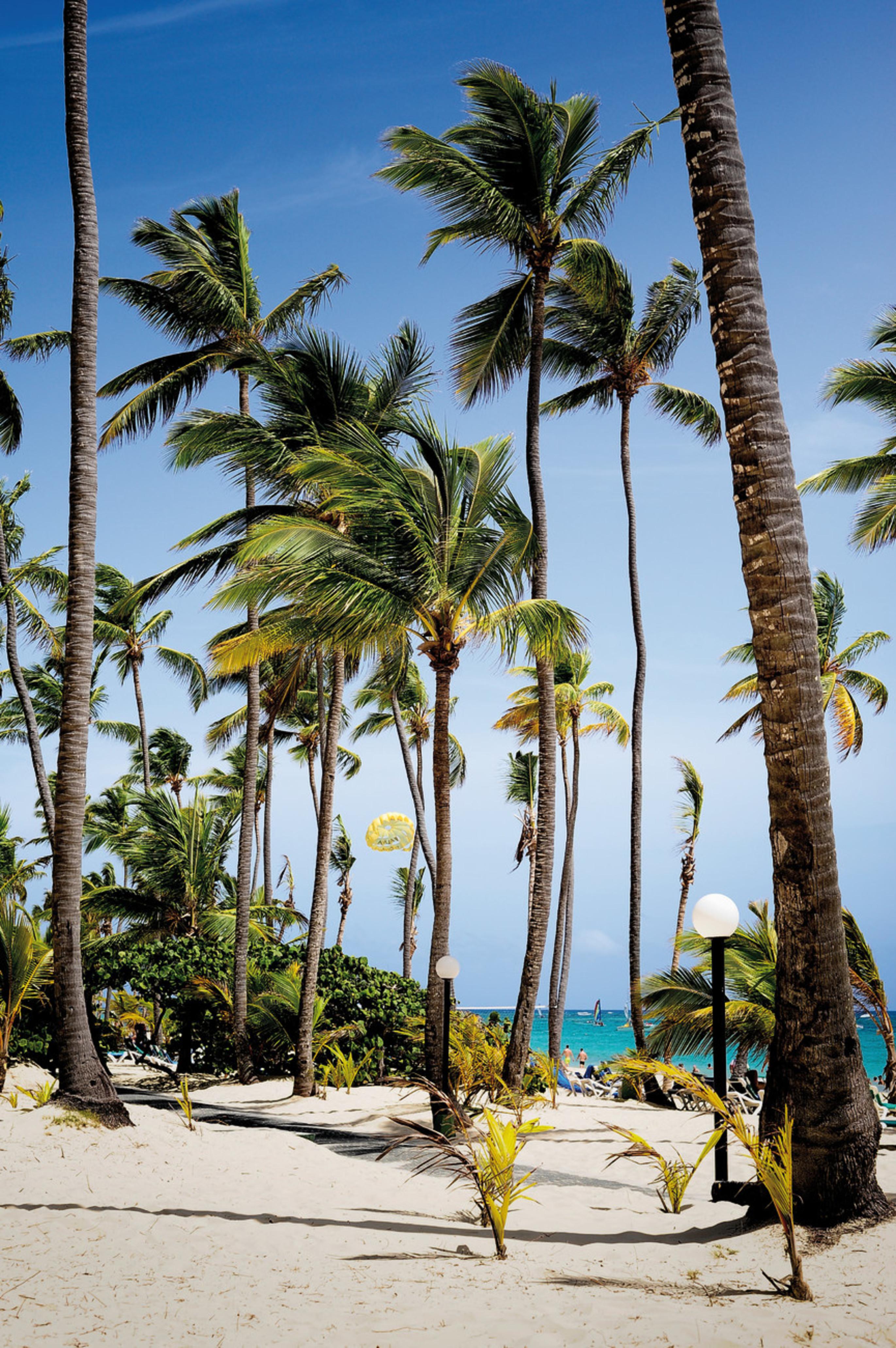 Riu Palace Macao (Adults Only) Punta Cana Dış mekan fotoğraf